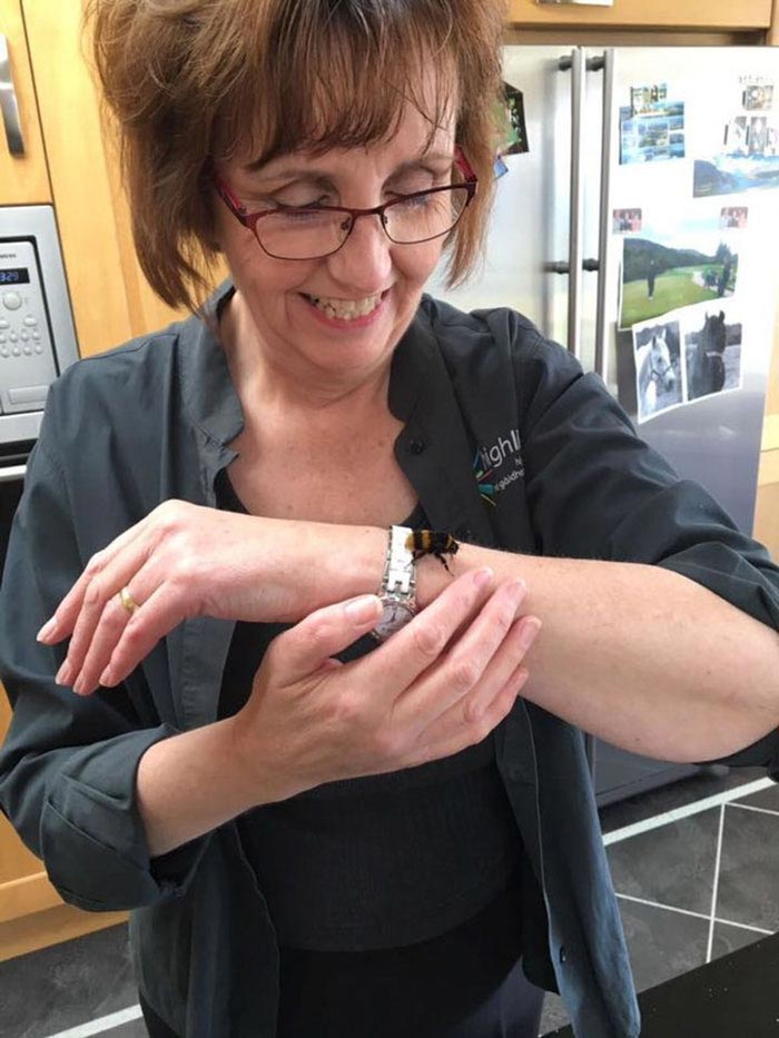 женщина и шмель, женщина спасла шмеля, бескрылый шмель, дружба женщины и шмелья