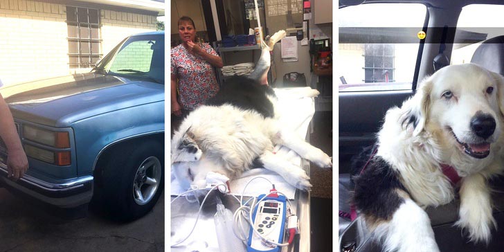 вдохновляющие истории, истории для тех кто опустил руки 