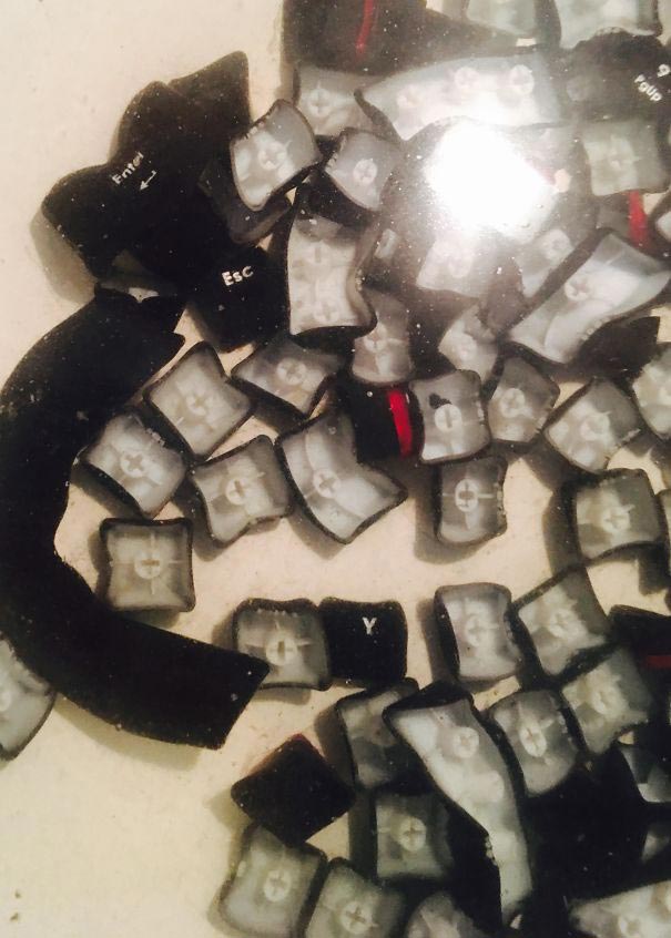 30 смешных случаев, когда не очень умные люди делали по-настоящему тупые вещи смешные случаи, смешные случаи с глупыми людьми, глупые люди