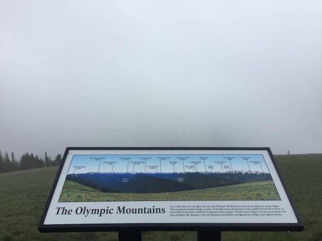 ожидание против реальности, ожидание и реальность, смешные фото