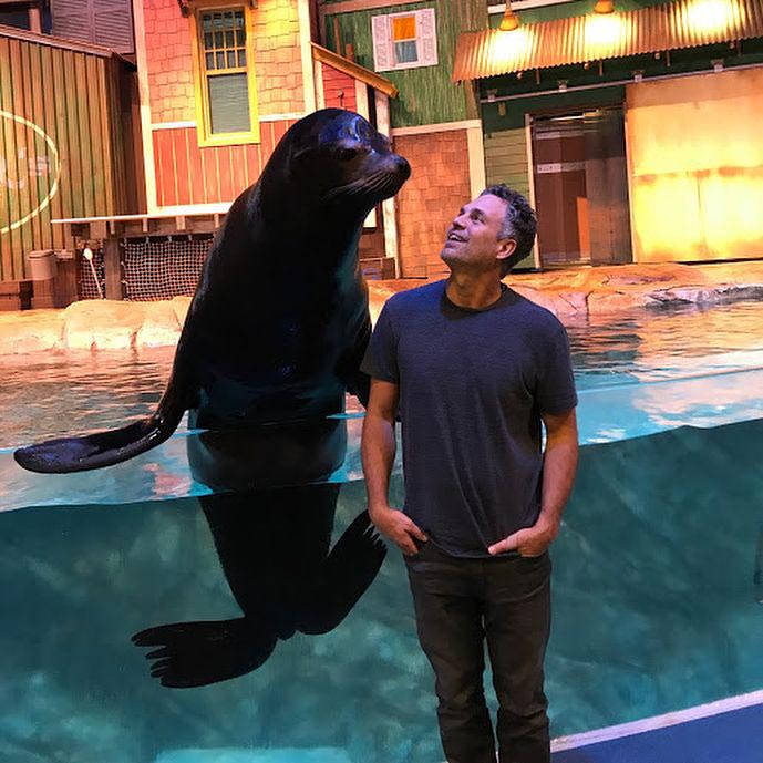 Звёзды в непринуждённой обстановке, нетипичные фотографии звёзд 