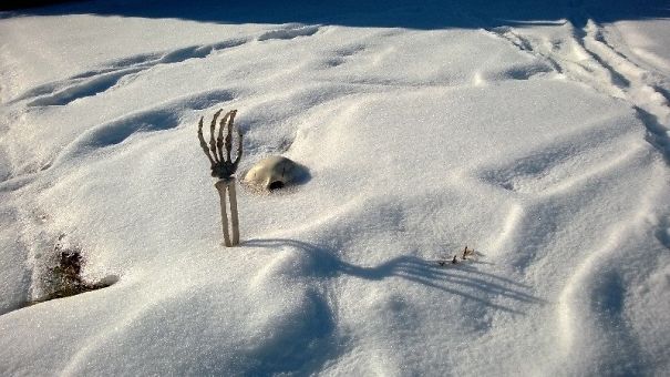 люди забыли что-то  сделать и это вылилось в курьёзные и смешные ситуации