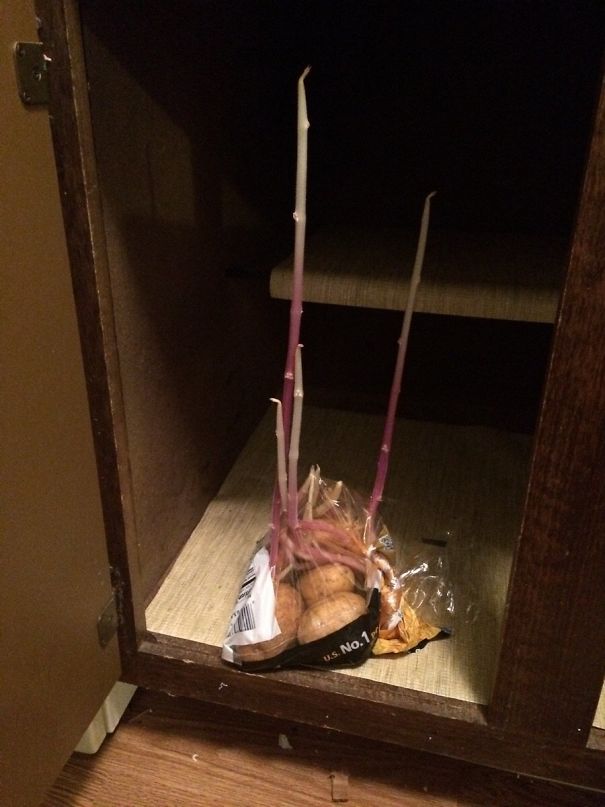 люди забыли что-то  сделать и это вылилось в курьёзные и смешные ситуации