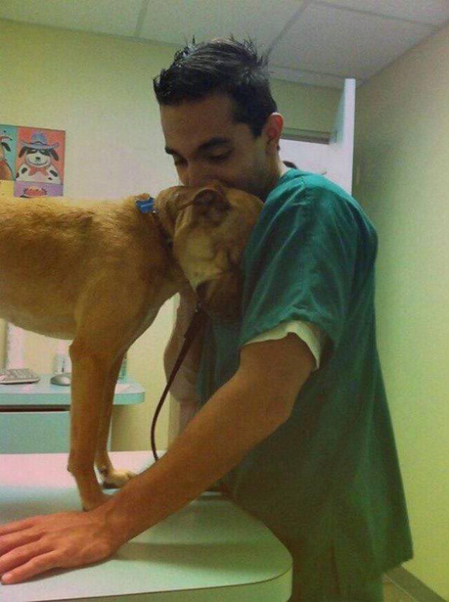 Добрые и вдохновляющие фотографии, говорящие больше, чем тысячи слов добрые фотографии, вдохновляющие фотографии, сильные фото, отдохнуть душой