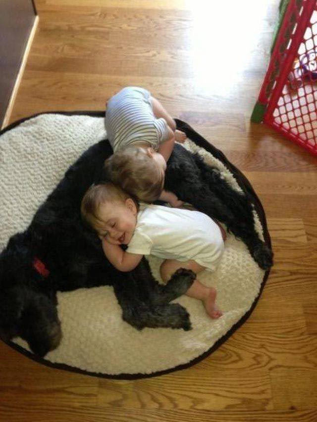 Добрые и вдохновляющие фотографии, говорящие больше, чем тысячи слов добрые фотографии, вдохновляющие фотографии, сильные фото, отдохнуть душой