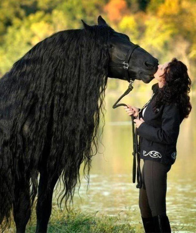 Добрые и вдохновляющие фотографии, говорящие больше, чем тысячи слов добрые фотографии, вдохновляющие фотографии, сильные фото, отдохнуть душой