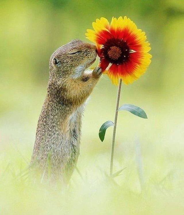 Добрые и вдохновляющие фотографии, говорящие больше, чем тысячи слов добрые фотографии, вдохновляющие фотографии, сильные фото, отдохнуть душой