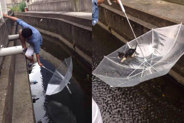 Добрые и вдохновляющие фотографии, говорящие больше, чем тысячи слов добрые фотографии, вдохновляющие фотографии, сильные фото, отдохнуть душой