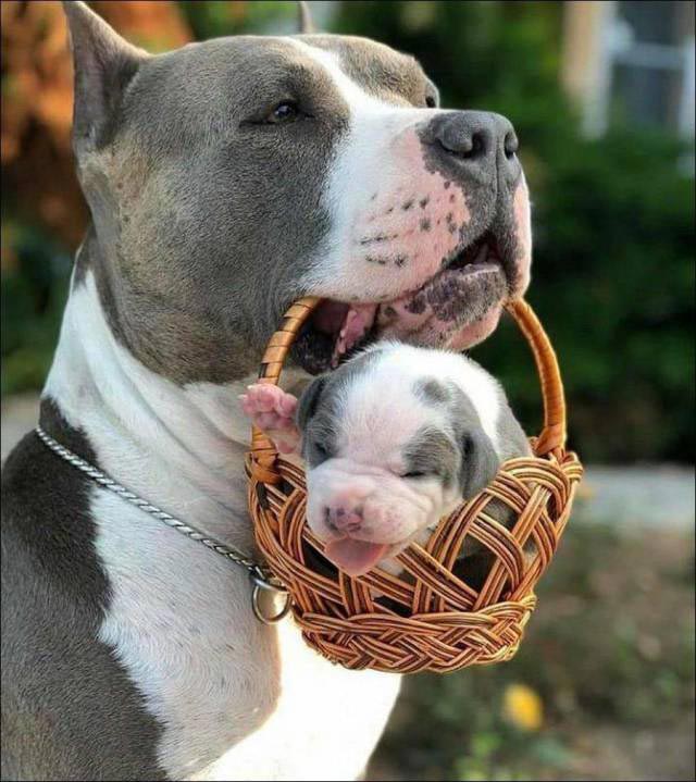 Добрые и вдохновляющие фотографии, говорящие больше, чем тысячи слов добрые фотографии, вдохновляющие фотографии, сильные фото, отдохнуть душой