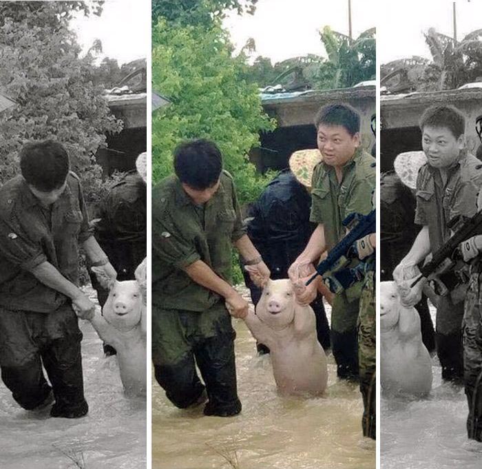 как нас обманывают СМИ, СМИ манипулируют мнением, правдивые фотографии, обман СМИ, правдивые фотографии обман СМИ