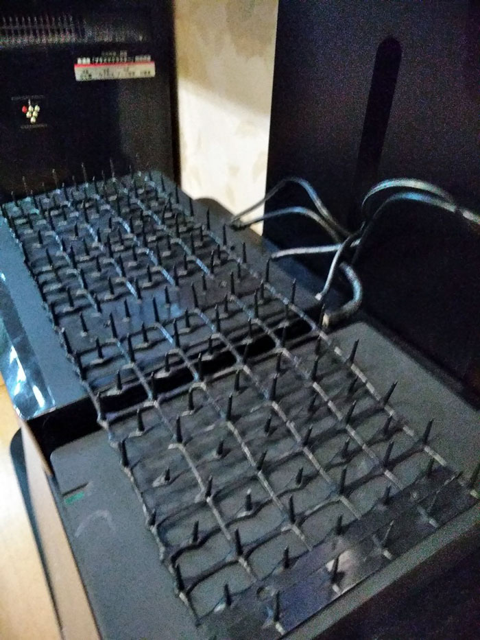 Японец создал защиту от кошек для клавиатуры, японец придумал как защитить свою клавиатуру от кошки