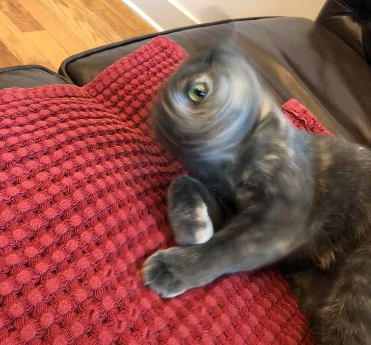 удивительные фотографии, фотографии необычных вещей, восхитительные фотографии, фотографии нигде раньше