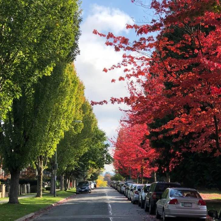 удивительные фотографии, фотографии необычных вещей, восхитительные фотографии, фотографии нигде раньше