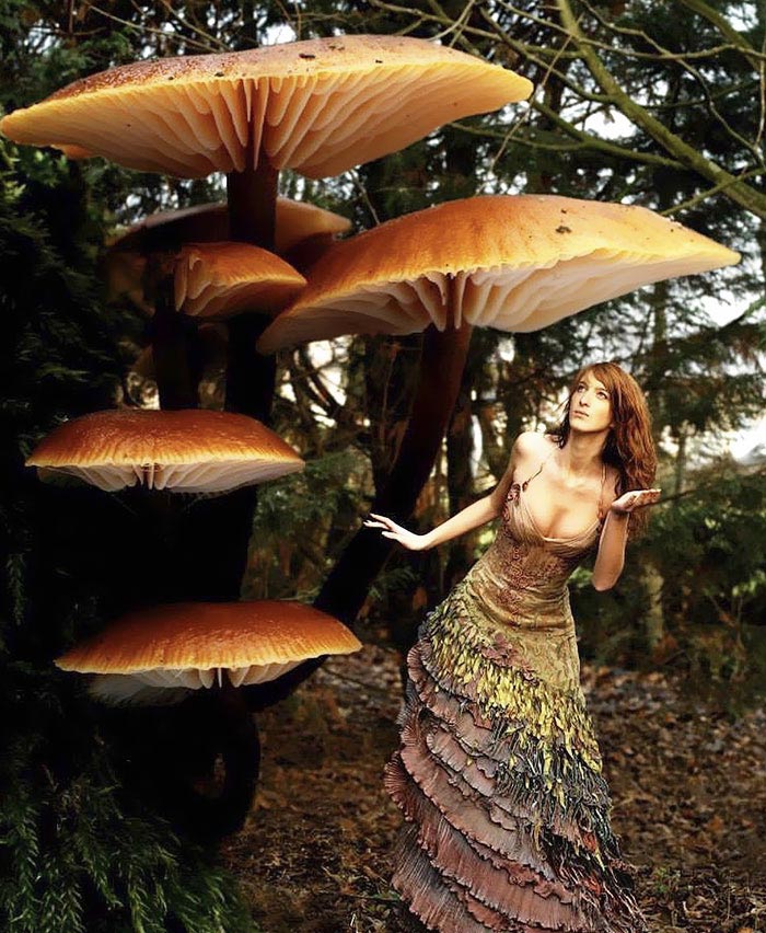 Платья из книг, необычные платья,  Сильви Фэкон, Sylvie Facon