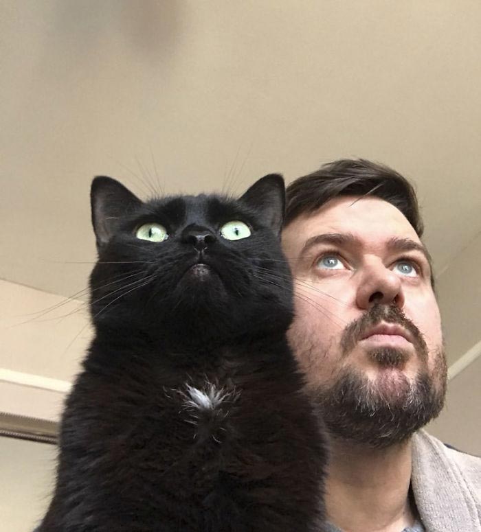 Люди копируют выражение лица своих питомцев, Лиам Райс 