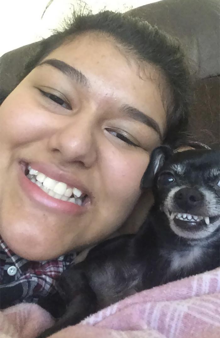 Люди копируют выражение лица своих питомцев, Лиам Райс 