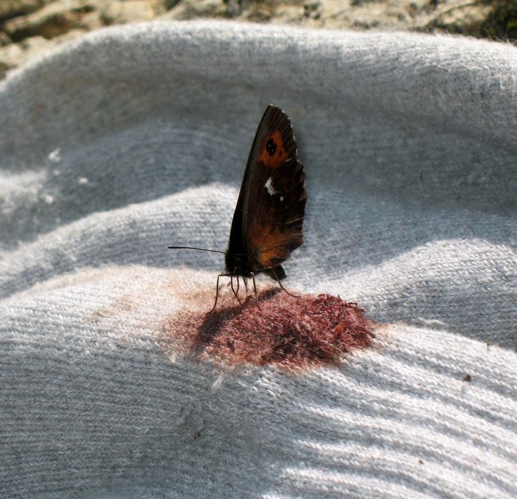 опасности подстерегающие нас в повседневной жизни