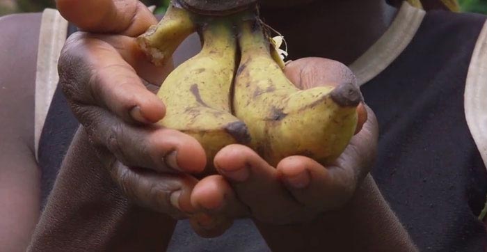 боец UFC рабство в Конго, Джастин Рен, Джастин Верн рабство, Джастин Верн Конго