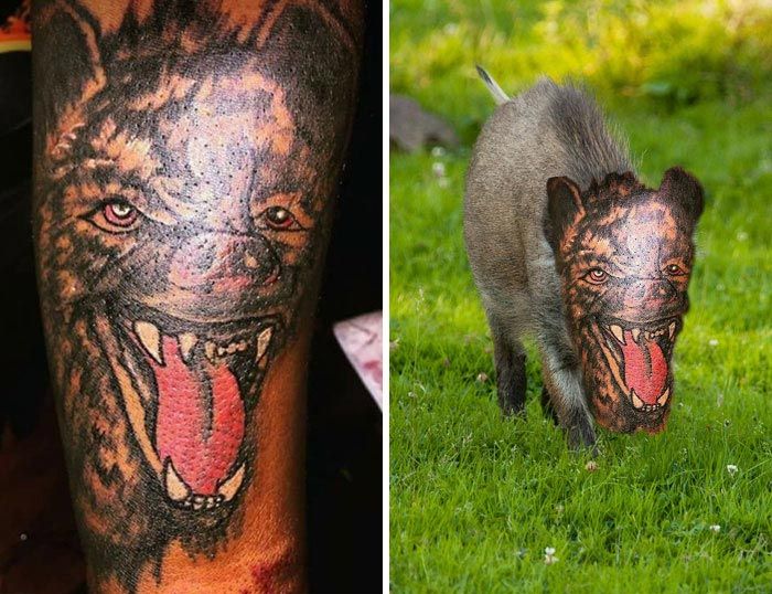 Кто-то заменил лица людей и животных татуировками с их же изображениями, и это смешно Кто-то заменил лица людей татуировками с их же изображениями, лица людей и животных заменили татуировками