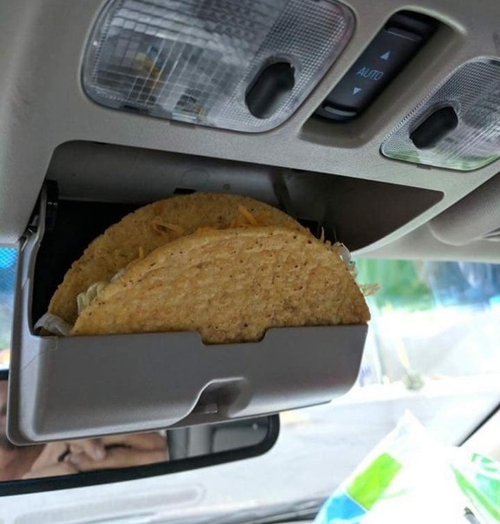 Человеческая глупость не знает границ, но отлично поднимает настроение, вот доказательства Человеческая глупость не знает границ, люди делают глупые вещи