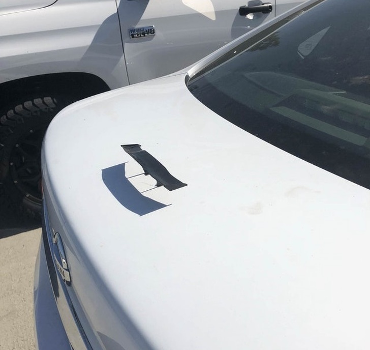 Человеческая глупость не знает границ, но отлично поднимает настроение, вот доказательства Человеческая глупость не знает границ, люди делают глупые вещи