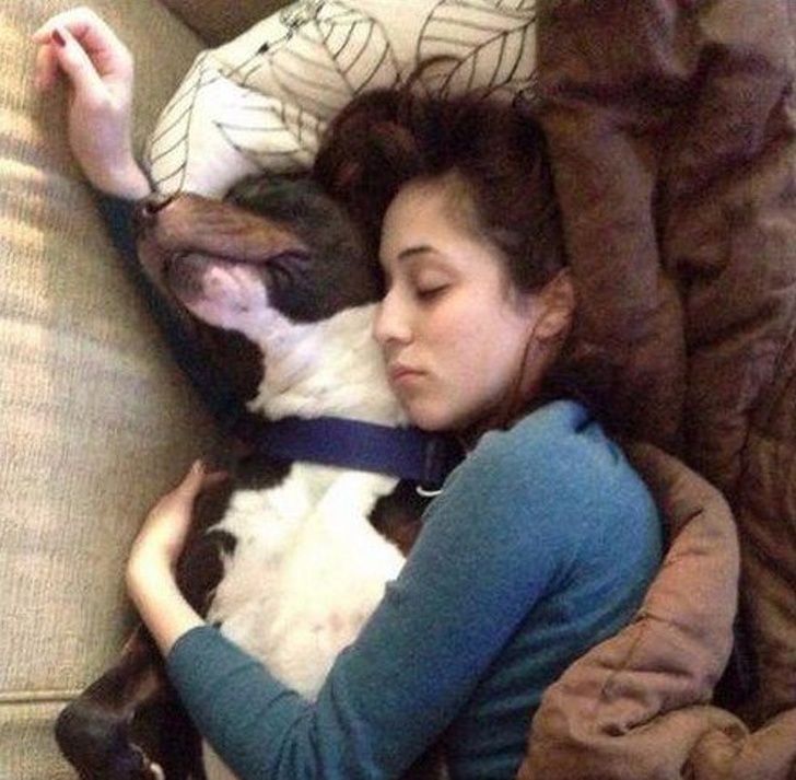 люди были пойманы на месте преступления, животные были пойманы на месте преступления