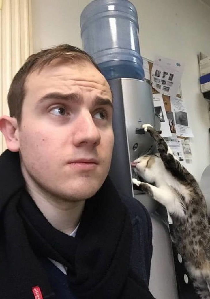 люди были пойманы на месте преступления, животные были пойманы на месте преступления