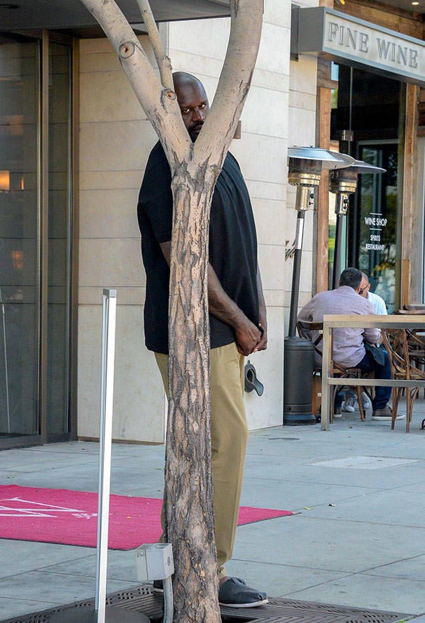 знаменитости против папарацци, знаменитости и папарацци, реакция знаменитостей на папарацци