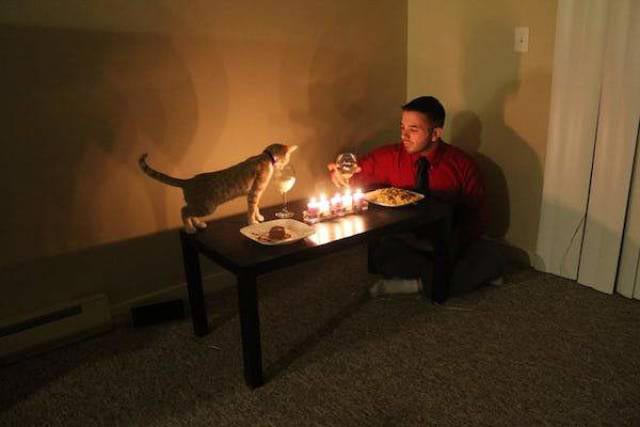 смешные фотографии одиночества, так выглядит одиночество, смешные фото одиноких людей