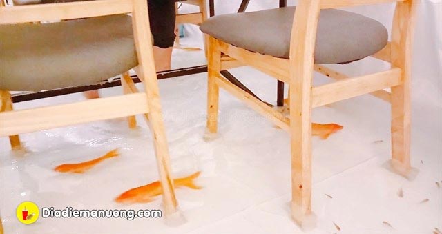 пол ресторана рыбы, пол ресторана пруд, вода на полу ресторана, вода рыбы пол ресторана, ресторан Вьетнам пол рыбы 