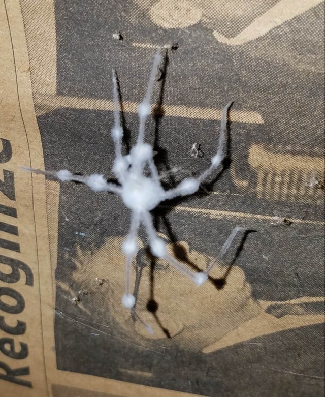 29 неприятных, странных и даже ужасных фотографий, которые лучше бы мы вообще не видели неприятные фотографии, странные фотографии, ужасные фотографии, фотографии которых лучше бы мы вообще не видели