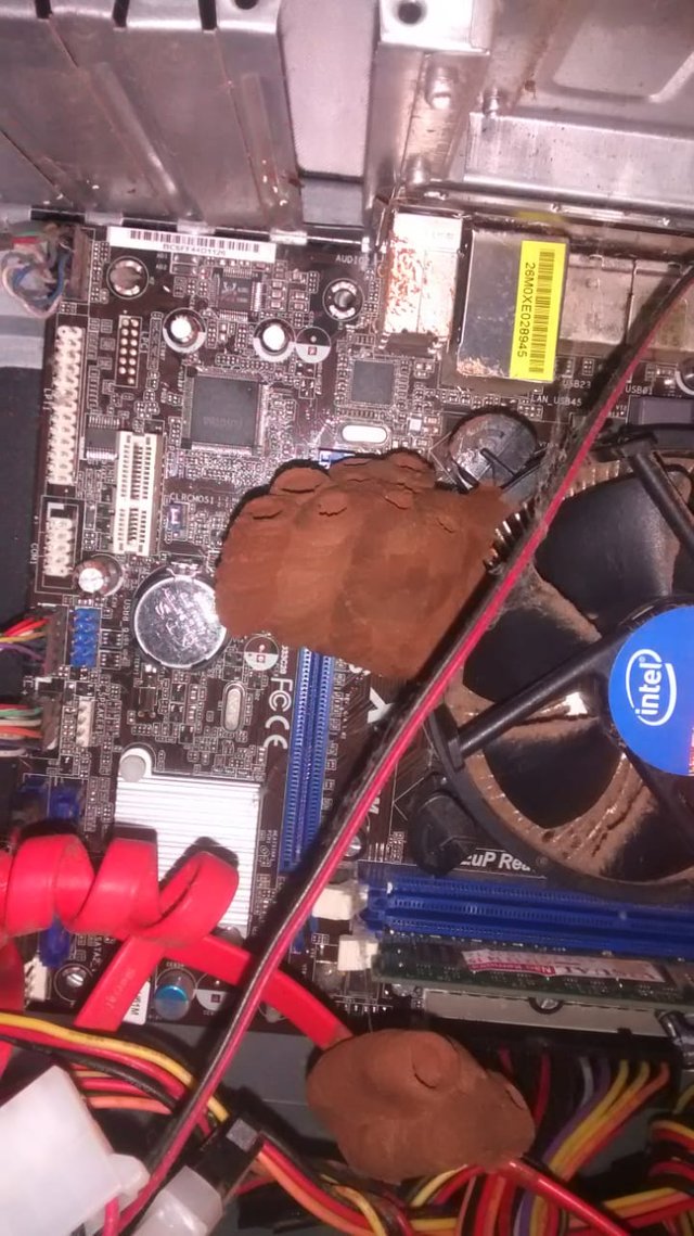 29 неприятных, странных и даже ужасных фотографий, которые лучше бы мы вообще не видели неприятные фотографии, странные фотографии, ужасные фотографии, фотографии которых лучше бы мы вообще не видели