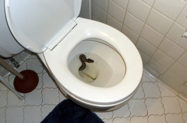 29 неприятных, странных и даже ужасных фотографий, которые лучше бы мы вообще не видели неприятные фотографии, странные фотографии, ужасные фотографии, фотографии которых лучше бы мы вообще не видели