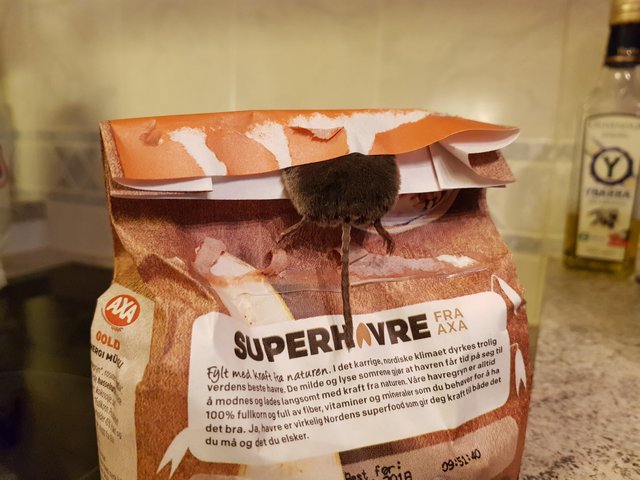 29 неприятных, странных и даже ужасных фотографий, которые лучше бы мы вообще не видели неприятные фотографии, странные фотографии, ужасные фотографии, фотографии которых лучше бы мы вообще не видели