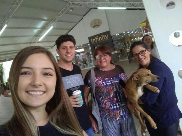 Бродячая собака украла книгу из книжного магазина, собака украла книгу