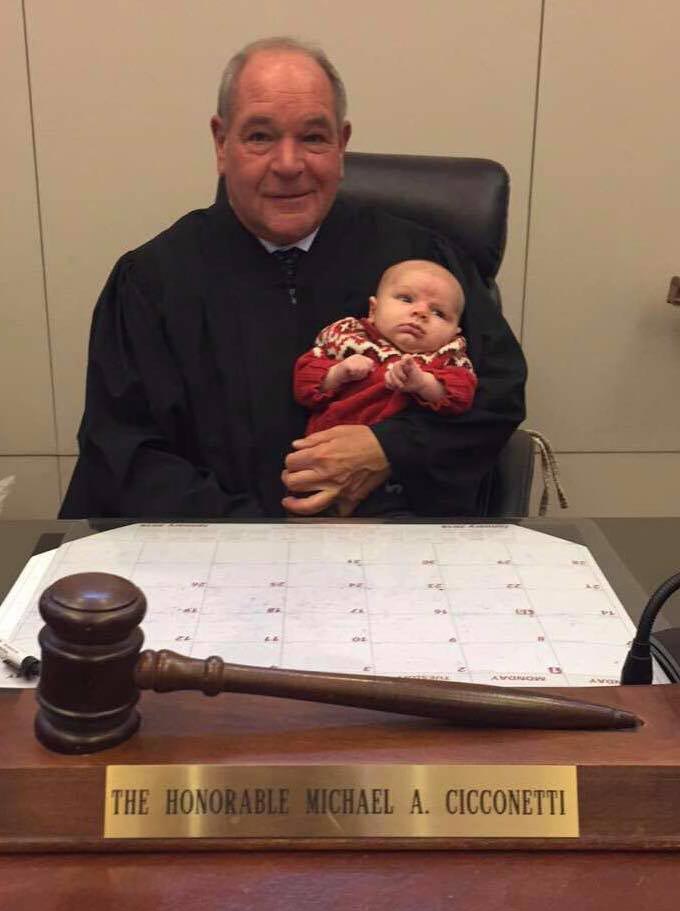 судья обидчики животных, наказание обидчики животных, приговор для обидчиков животных