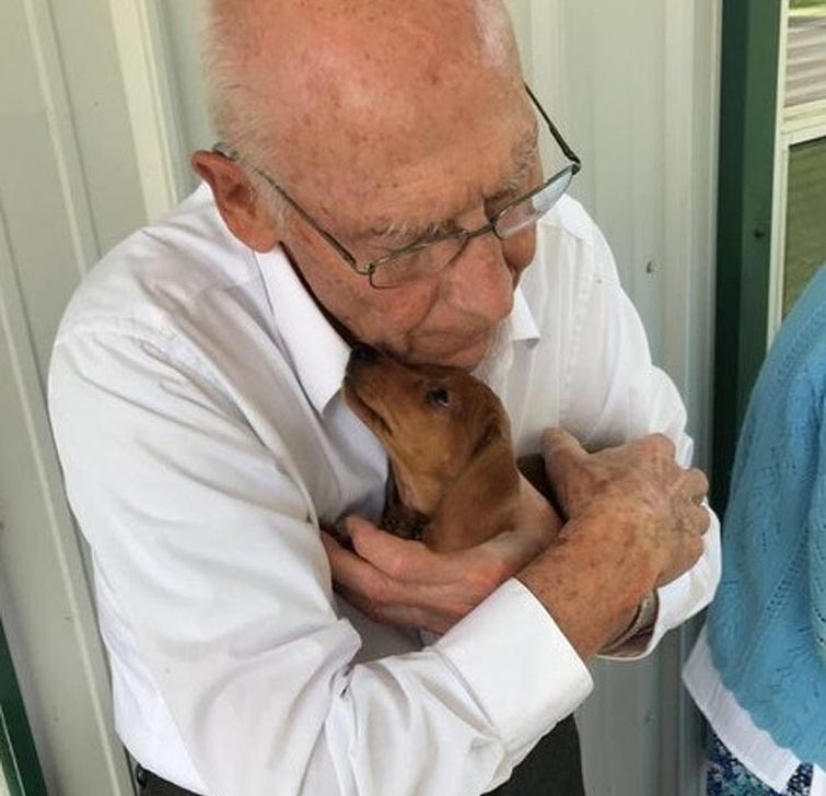 трогательные истории, трогательные фотографии 