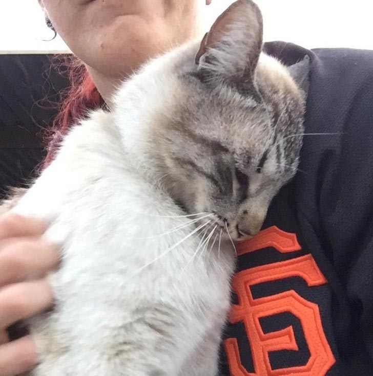 трогательные истории, трогательные фотографии 