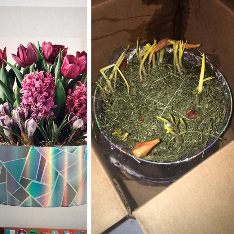 плохой день, неудачный день, если у вас был плохой день, фото плохой день