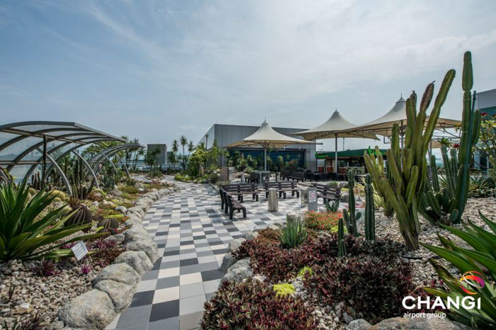 Ожидание самолета в лучшем аэропорту мира — это как посещение Диснейленда, и это правда Сингапурский аэропорт Чанги, лучший аэропорт мира