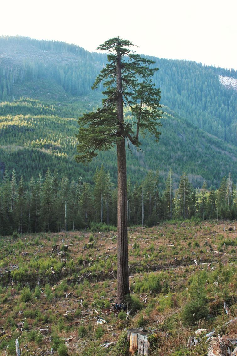 неожиданно большие вещи, вещи оказались неожиданно большими, люди для масштаба, реальный размер вещей