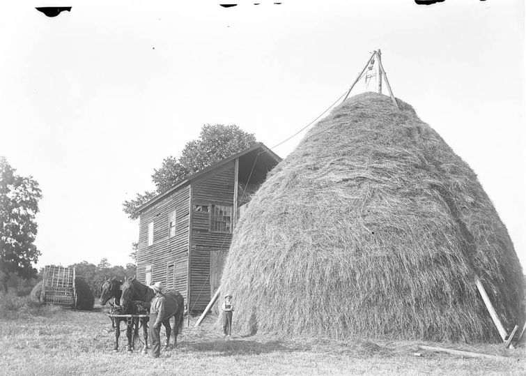 неожиданно большие вещи, вещи оказались неожиданно большими, люди для масштаба, реальный размер вещей