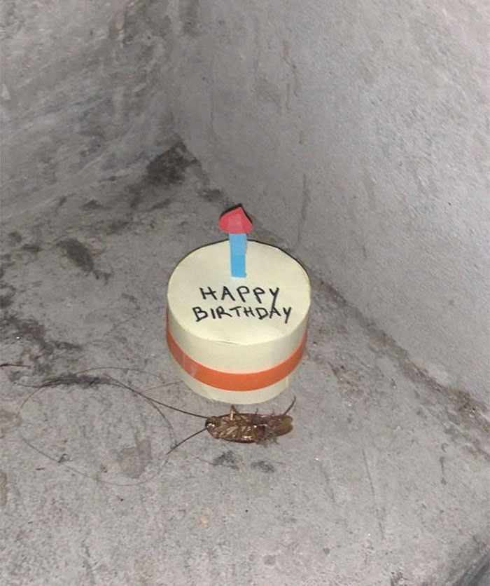 Таракан умер на лестничной клетке офиса, ользователь Imgur с ником TheDisney Dad