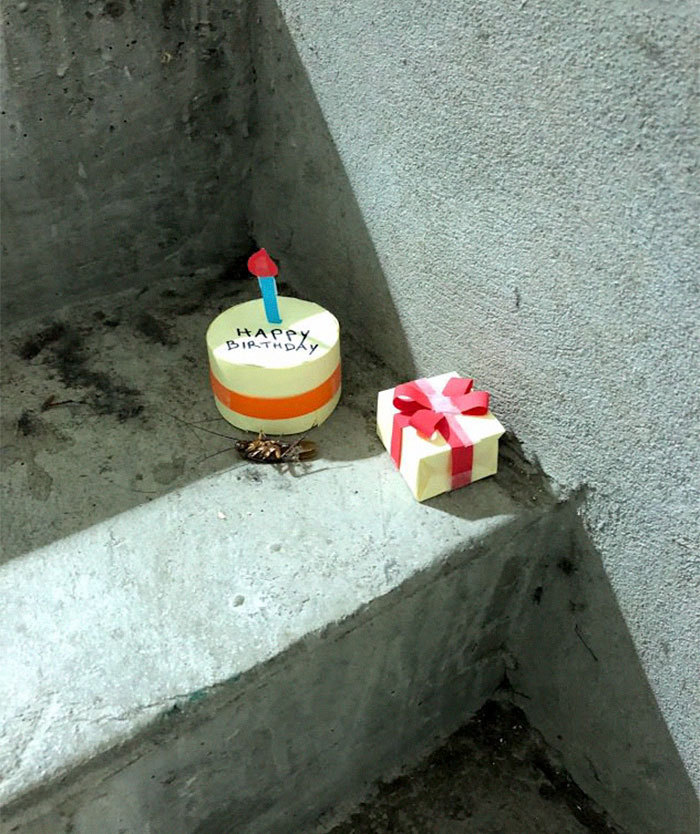 Таракан умер на лестничной клетке офиса, ользователь Imgur с ником TheDisney Dad