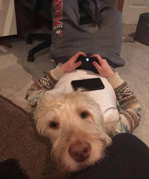 20 оптических иллюзий из повседневной жизни, которые обманут ваши глаза оптичесие иллюзии в повседневной жизни, оптические иллюзии, смешные оптические иллюзии