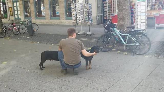 20 оптических иллюзий из повседневной жизни, которые обманут ваши глаза оптичесие иллюзии в повседневной жизни, оптические иллюзии, смешные оптические иллюзии