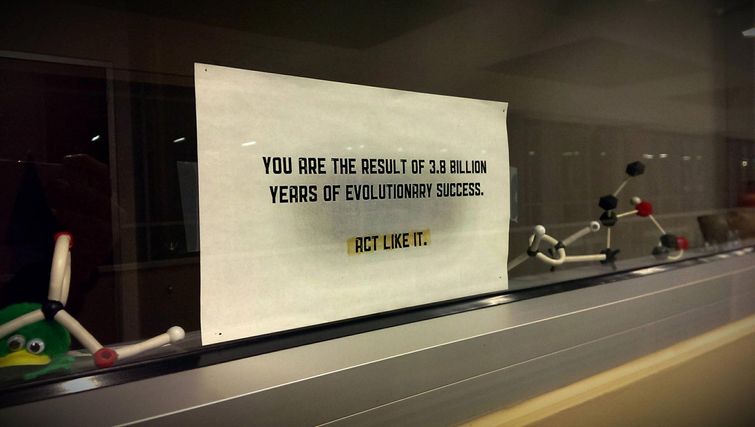 Преподаватель мастерски затроллил студентку, смотревшую в телефон во время лекции преподаватель затроллил студентку, учитель затроллил ученика, учитель наказал за телефон,