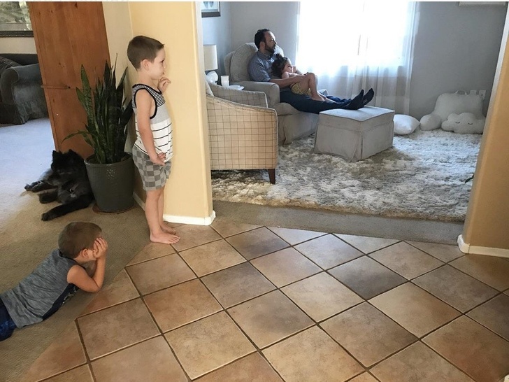 люди завидуют, животные завидуют 