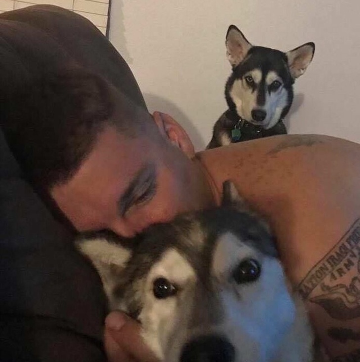 люди завидуют, животные завидуют 