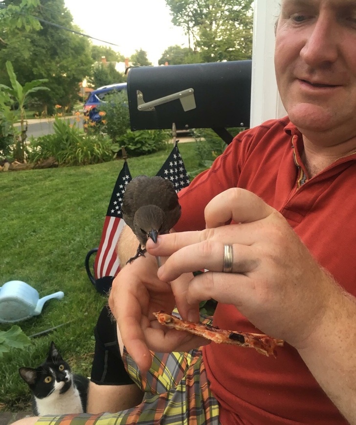 люди завидуют, животные завидуют 